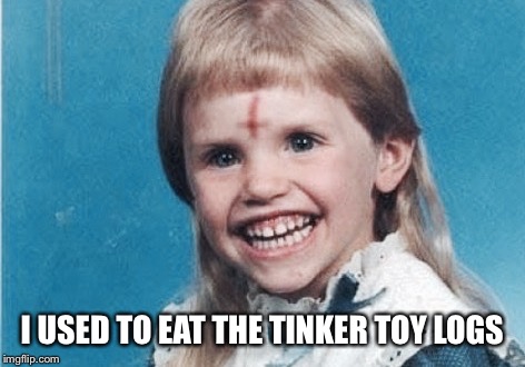 Evil Girl | I USED TO EAT THE TINKER TOY LOGS | image tagged in evil girl | made w/ Imgflip meme maker