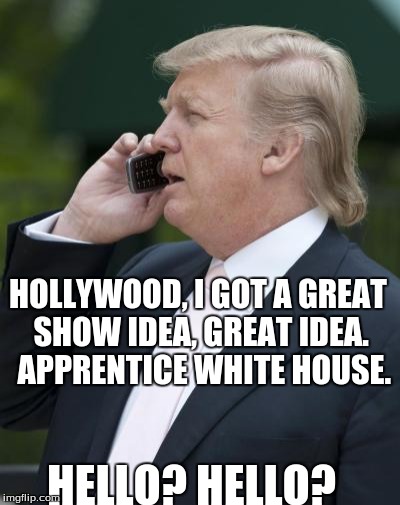 Trump on the phone | HOLLYWOOD, I GOT A GREAT SHOW IDEA, GREAT IDEA.  APPRENTICE WHITE HOUSE. HELLO? HELLO? | image tagged in trump on the phone | made w/ Imgflip meme maker
