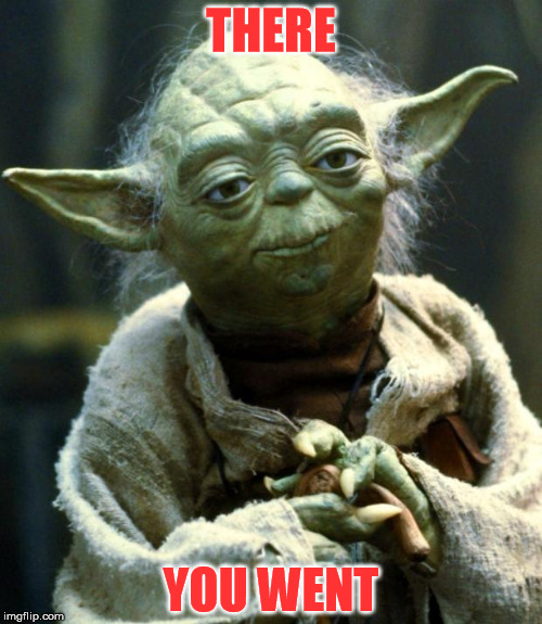 When someone goes there..... | THERE; YOU WENT | image tagged in memes,star wars yoda | made w/ Imgflip meme maker