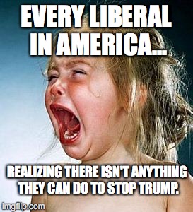 Elections have consequences, and it's far past time to take your medicine. | EVERY LIBERAL IN AMERICA... REALIZING THERE ISN'T ANYTHING THEY CAN DO TO STOP TRUMP. | image tagged in 2017,scotus,neil gorsuch,nuclear,option,senate | made w/ Imgflip meme maker