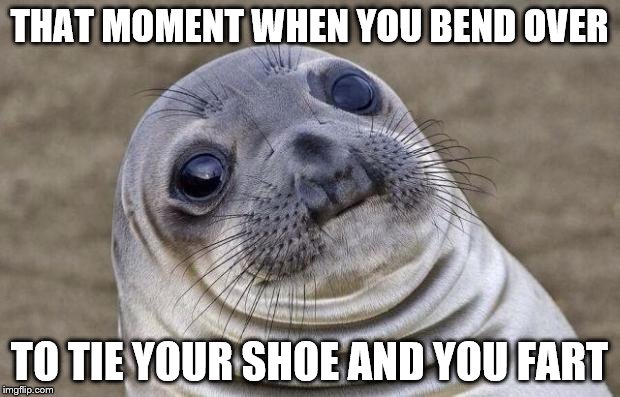 Awkward Moment Sealion Meme | THAT MOMENT WHEN YOU BEND OVER; TO TIE YOUR SHOE AND YOU FART | image tagged in memes,awkward moment sealion | made w/ Imgflip meme maker