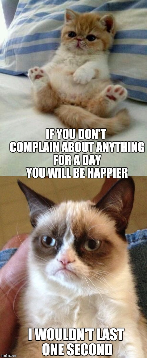 Wouldn't last for a second | IF YOU DON'T COMPLAIN ABOUT ANYTHING FOR A DAY YOU WILL BE HAPPIER; I WOULDN'T LAST ONE SECOND | image tagged in grumpy cat,advice cat,memes | made w/ Imgflip meme maker