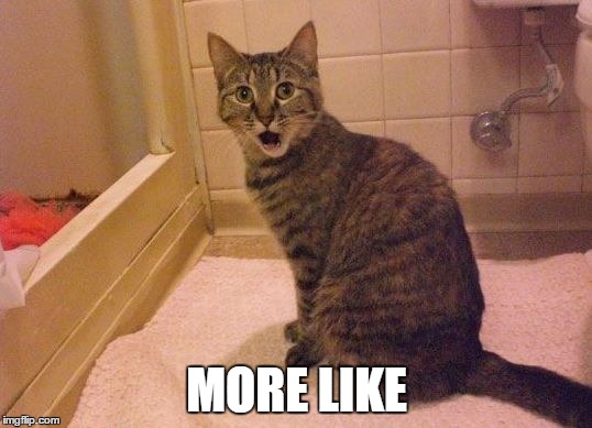 surprised and amazed cat | MORE LIKE | image tagged in surprised and amazed cat | made w/ Imgflip meme maker