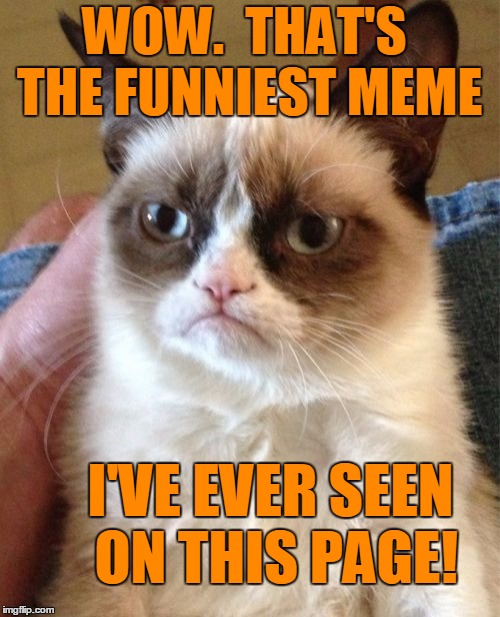 Grumpy Cat Meme | WOW.  THAT'S THE FUNNIEST MEME I'VE EVER SEEN ON THIS PAGE! | image tagged in memes,grumpy cat | made w/ Imgflip meme maker