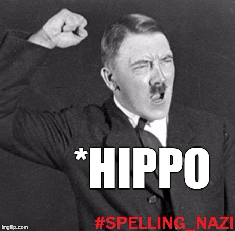 *HIPPO | image tagged in spelling nazi | made w/ Imgflip meme maker