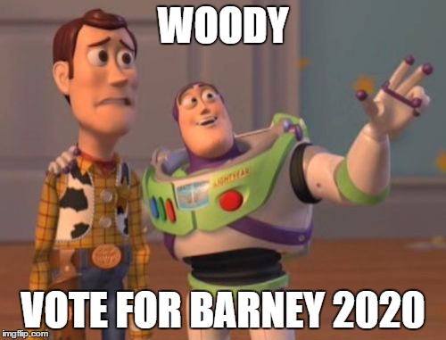X, X Everywhere Meme | WOODY; VOTE FOR BARNEY 2020 | image tagged in memes,x x everywhere | made w/ Imgflip meme maker