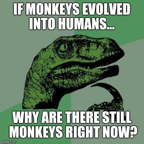Philosoraptor | IF MONKEYS EVOLVED INTO HUMANS... WHY ARE THERE STILL MONKEYS RIGHT NOW? | image tagged in memes,philosoraptor | made w/ Imgflip meme maker
