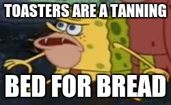 Spongegar | TOASTERS ARE A TANNING; BED FOR BREAD | image tagged in memes,spongegar | made w/ Imgflip meme maker
