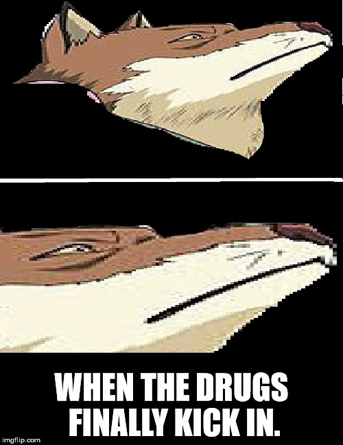 WHEN THE DRUGS FINALLY KICK IN. | image tagged in bleach - when the drugs finally kick in | made w/ Imgflip meme maker