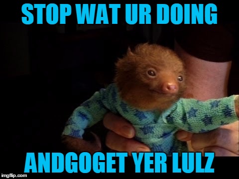 Sloth Encourages Exploration of Other Deadly Sins | STOP WAT UR DOING; ANDGOGET YER LULZ | image tagged in memes,sloth,seven deadly sins,lulz,headfoot | made w/ Imgflip meme maker