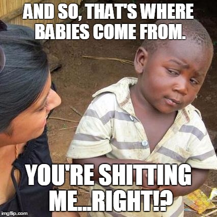 Third World Skeptical Kid Meme | AND SO, THAT'S WHERE BABIES COME FROM. YOU'RE SHITTING ME...RIGHT!? | image tagged in memes,third world skeptical kid | made w/ Imgflip meme maker