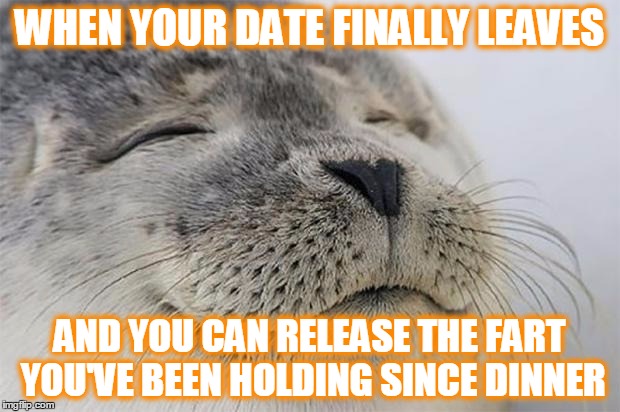 I like you but GET OUT!!! | WHEN YOUR DATE FINALLY LEAVES; AND YOU CAN RELEASE THE FART YOU'VE BEEN HOLDING SINCE DINNER | image tagged in memes,satisfied seal | made w/ Imgflip meme maker