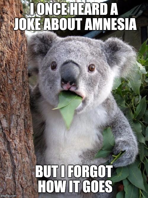 Surprised Koala | I ONCE HEARD A JOKE ABOUT AMNESIA; BUT I FORGOT HOW IT GOES | image tagged in memes,surprised koala | made w/ Imgflip meme maker