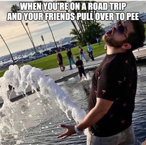 The Pressure Is Strong In This One! | WHEN YOU'RE ON A ROAD TRIP AND YOUR FRIENDS PULL OVER TO PEE | image tagged in funny,memes,road trip,friends | made w/ Imgflip meme maker
