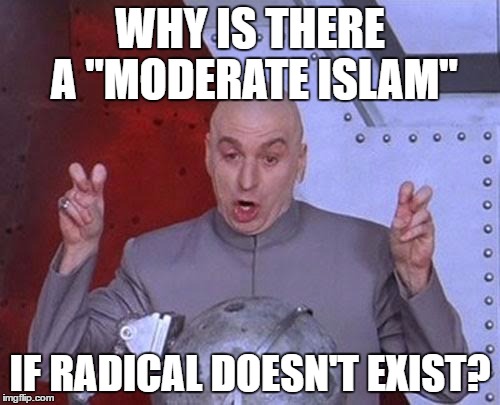 Dr Evil Laser | WHY IS THERE A "MODERATE ISLAM"; IF RADICAL DOESN'T EXIST? | image tagged in memes,dr evil laser | made w/ Imgflip meme maker