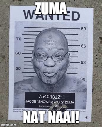 ZUMA; NAT NAAI! | image tagged in zuma | made w/ Imgflip meme maker