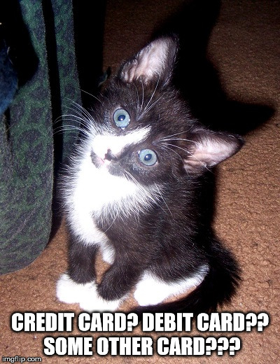 CREDIT CARD? DEBIT CARD?? SOME OTHER CARD??? | image tagged in confused cat | made w/ Imgflip meme maker