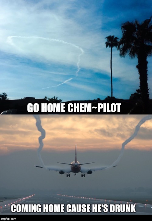 Cause He's... | image tagged in go home youre drunk,chemtrails,pilot,landing,flying | made w/ Imgflip meme maker