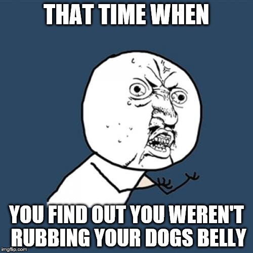 Holy fuck |  THAT TIME WHEN; YOU FIND OUT YOU WEREN'T RUBBING YOUR DOGS BELLY | image tagged in dog rage,no way bro,grossed out,fuck,omg,wash it | made w/ Imgflip meme maker