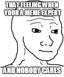 Feels | THAT FEELING WHEN YOUR A MEME EXPERT; AND NOBODY CARES | image tagged in feels | made w/ Imgflip meme maker