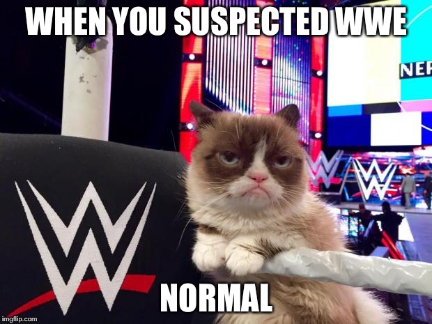 wwwe grumpy cat | WHEN YOU SUSPECTED WWE; NORMAL | image tagged in wwwe grumpy cat | made w/ Imgflip meme maker