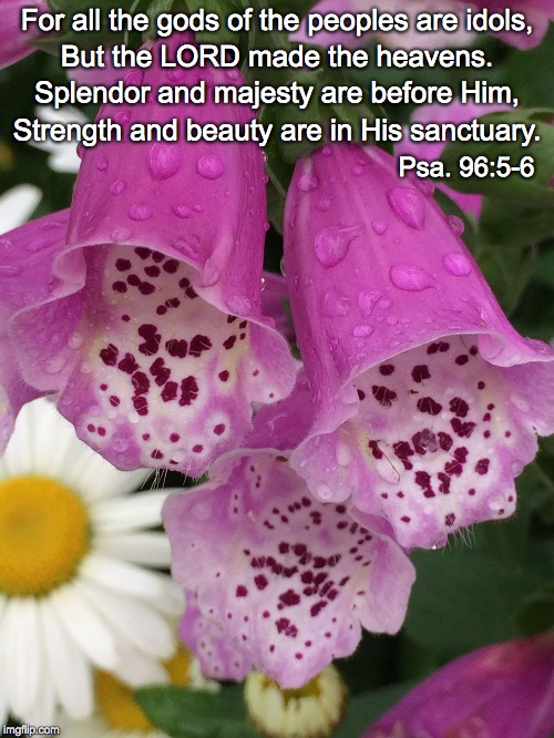 For all the gods of the peoples are idols, But the LORD made the heavens. Splendor and majesty are before Him, Strength and beauty are in His sanctuary. Psa. 96:5-6 | image tagged in beauty | made w/ Imgflip meme maker