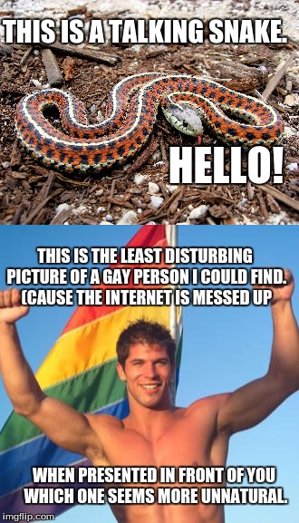 which is more unnatural | THIS IS A TALKING SNAKE. HELLO! THIS IS THE LEAST DISTURBING PICTURE OF A GAY PERSON I COULD FIND. (CAUSE THE INTERNET IS MESSED UP; WHEN PRESENTED IN FRONT OF YOU WHICH ONE SEEMS MORE UNNATURAL. | image tagged in which is more unnatural | made w/ Imgflip meme maker