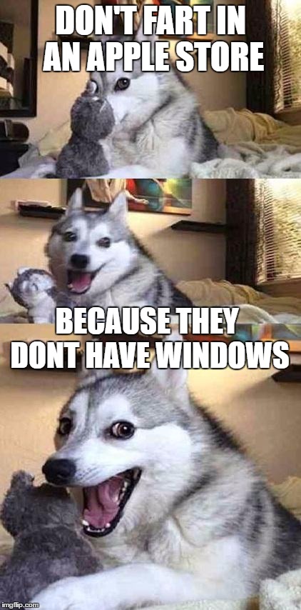 Dog Joke | DON'T FART IN AN APPLE STORE; BECAUSE THEY DONT HAVE WINDOWS | image tagged in dog joke | made w/ Imgflip meme maker