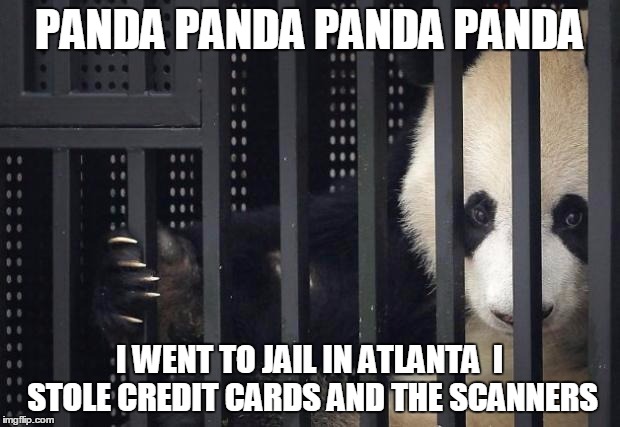 panda jail | PANDA PANDA PANDA PANDA; I WENT TO JAIL IN ATLANTA 
I STOLE CREDIT CARDS AND THE SCANNERS | image tagged in panda jail | made w/ Imgflip meme maker