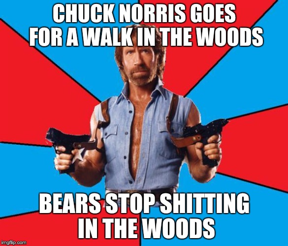 Chuck Norris With Guns | CHUCK NORRIS GOES FOR A WALK IN THE WOODS; BEARS STOP SHITTING IN THE WOODS | image tagged in memes,chuck norris with guns,chuck norris | made w/ Imgflip meme maker