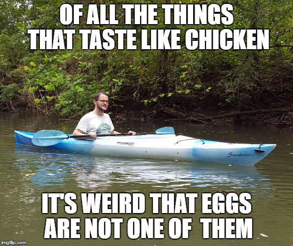 Kayak Kelly | OF ALL THE THINGS THAT TASTE LIKE CHICKEN; IT'S WEIRD THAT EGGS ARE NOT ONE OF  THEM | image tagged in kayak kelly,stranger things,funny | made w/ Imgflip meme maker