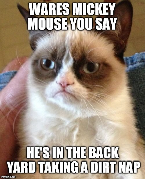 Grumpy Cat Meme | WARES MICKEY MOUSE YOU SAY; HE'S IN THE BACK YARD TAKING A DIRT NAP | image tagged in memes,grumpy cat | made w/ Imgflip meme maker