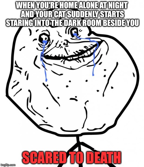 Forever Alone | WHEN YOU'RE HOME ALONE AT NIGHT AND YOUR CAT SUDDENLY STARTS STARING INTO THE DARK ROOM BESIDE YOU; SCARED TO DEATH | image tagged in forever alone | made w/ Imgflip meme maker