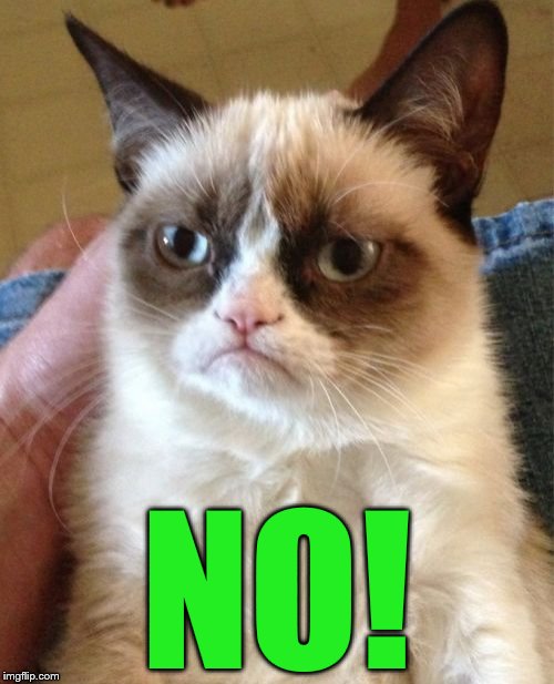 Grumpy Cat Meme | NO! | image tagged in memes,grumpy cat | made w/ Imgflip meme maker