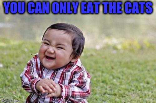 Evil Toddler Meme | YOU CAN ONLY EAT THE CATS | image tagged in memes,evil toddler | made w/ Imgflip meme maker