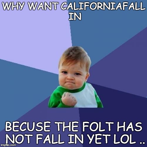 Success Kid | WHY WANT CALIFORNIAFALL IN; BECUSE THE FOLT HAS NOT FALL IN YET LOL .. | image tagged in memes,success kid | made w/ Imgflip meme maker