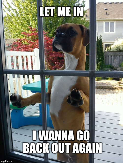 Every dog | LET ME IN; I WANNA GO BACK OUT AGAIN | image tagged in dogs | made w/ Imgflip meme maker