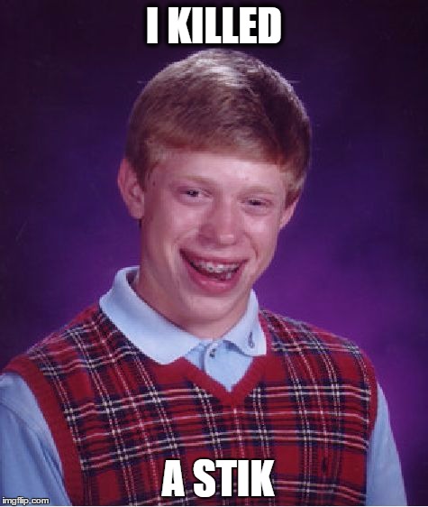Bad Luck Brian Meme | I KILLED; A STIK | image tagged in memes,bad luck brian | made w/ Imgflip meme maker