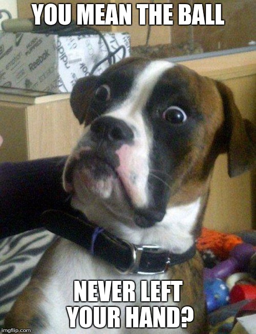 Blankie the Shocked Dog | YOU MEAN THE BALL; NEVER LEFT YOUR HAND? | image tagged in blankie the shocked dog | made w/ Imgflip meme maker