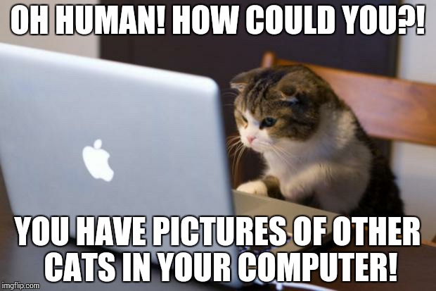 Cat using computer | OH HUMAN! HOW COULD YOU?! YOU HAVE PICTURES OF OTHER CATS IN YOUR COMPUTER! | image tagged in cat using computer | made w/ Imgflip meme maker