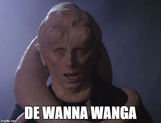 DE WANNA WANGA | made w/ Imgflip meme maker