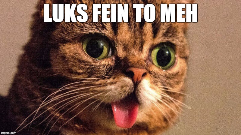 Dumb Cat | LUKS FEIN TO MEH | image tagged in dumb cat | made w/ Imgflip meme maker