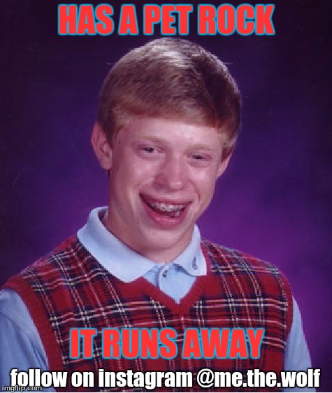 Bad Luck Brian | HAS A PET ROCK; IT RUNS AWAY; follow on instagram @me.the.wolf | image tagged in memes,bad luck brian | made w/ Imgflip meme maker