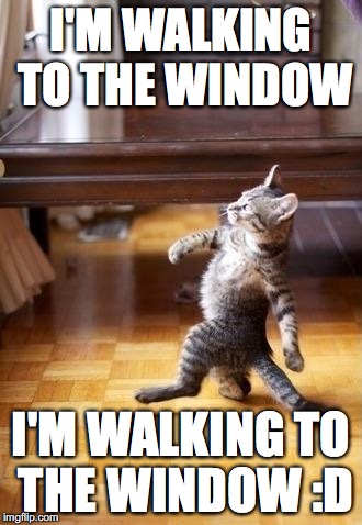 Cool Cat Stroll Meme | I'M WALKING TO THE WINDOW; I'M WALKING TO THE WINDOW :D | image tagged in memes,cool cat stroll | made w/ Imgflip meme maker
