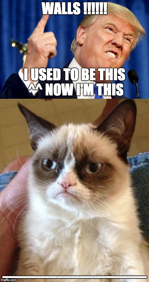 I'm From Harry Potter | WALLS !!!!!! I USED TO BE THIS ^^ NOW I'M THIS; ..................................................................... | image tagged in donald trump,grumpy cat,life | made w/ Imgflip meme maker