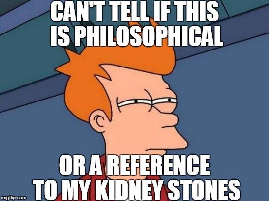 Futurama Fry Meme | CAN'T TELL IF THIS IS PHILOSOPHICAL OR A REFERENCE TO MY KIDNEY STONES | image tagged in memes,futurama fry | made w/ Imgflip meme maker