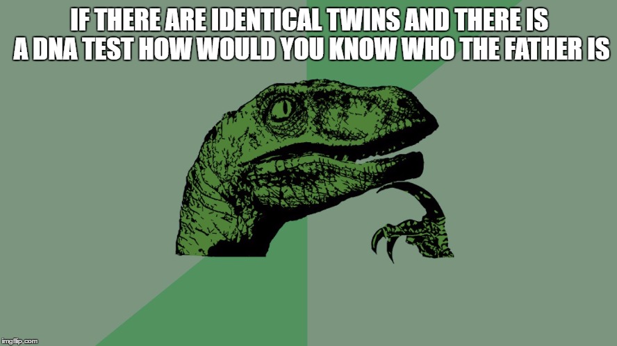 Philosophy Dinosaur | IF THERE ARE IDENTICAL TWINS AND THERE IS A DNA TEST HOW WOULD YOU KNOW WHO THE FATHER IS | image tagged in philosophy dinosaur | made w/ Imgflip meme maker
