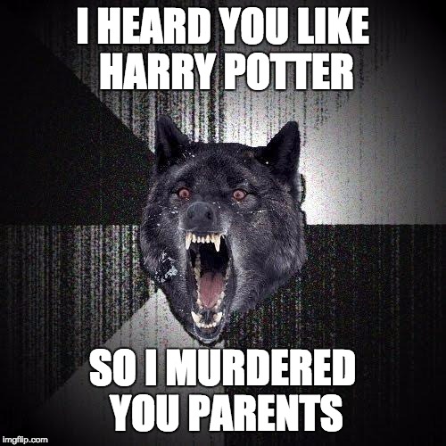 Insanity Wolf | I HEARD YOU LIKE HARRY POTTER; SO I MURDERED YOU PARENTS | image tagged in memes,insanity wolf | made w/ Imgflip meme maker
