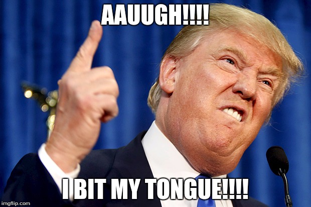 Donald Trump | AAUUGH!!!! I BIT MY TONGUE!!!! | image tagged in donald trump | made w/ Imgflip meme maker