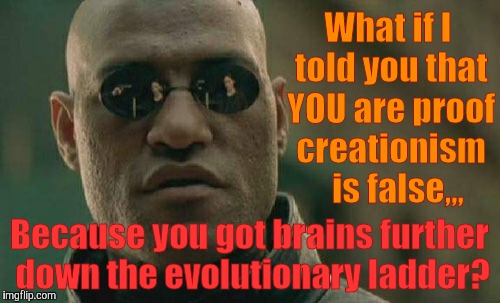Matrix Morpheus Meme | What if I told you that YOU are proof creationism   is false,,, Because you got brains further down the evolutionary ladder? | image tagged in memes,matrix morpheus | made w/ Imgflip meme maker